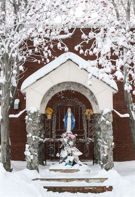 our lady of the snows website.